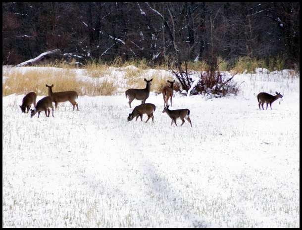 This pic was taken on the last evening of the year. Great video too. 