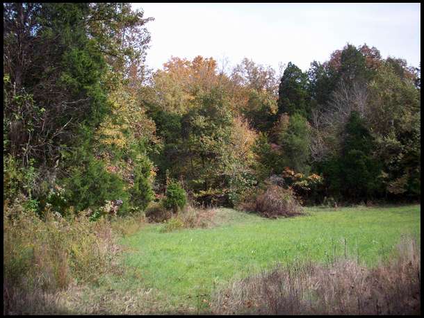 FOOD PLOT