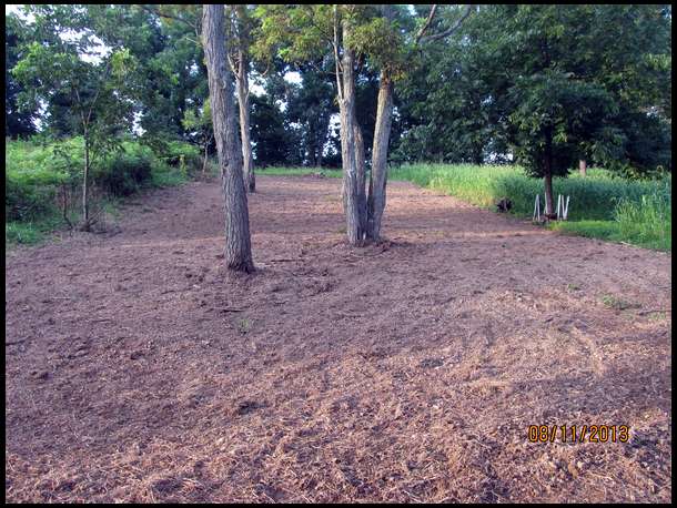 Upper plot cleaned, and cleared. At least three roundup sprays