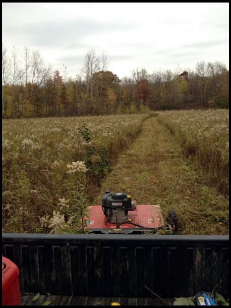 Rear field left fallow in 2013 and 2014