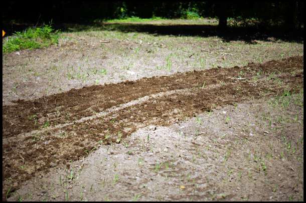 This is what our soil looked like after a single pass. The oats were planted an inch down and the radishes were in the top .25 inch of the soil. A perfect application.