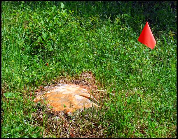These suitcase sized stones are everywhere. They are hard on our Brushbull and I can't consider using a rotary tiller until they are dealt with. We combed the field with a bottle of flourescent spray paint and a bundle of wire flags and marked all the stones we could find. Another great task for the kids.