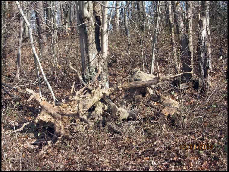 Pile at the top. It is actually larger since we found more stumps