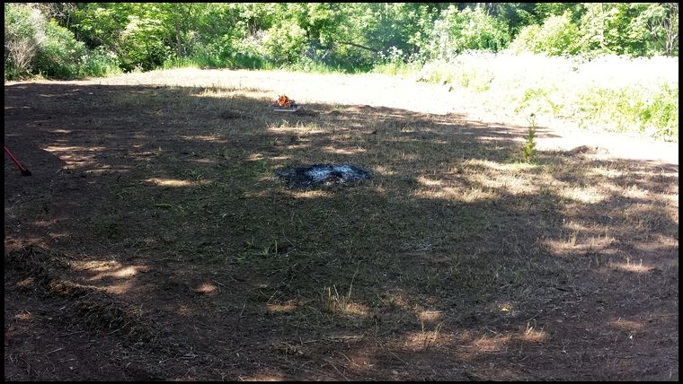 Getting up as much debris as possible, before using homemade spike tooth harrow. 