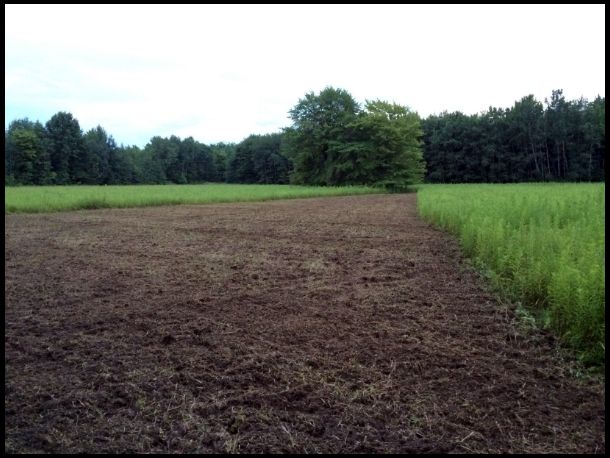 The horse shoe plot is ready to go