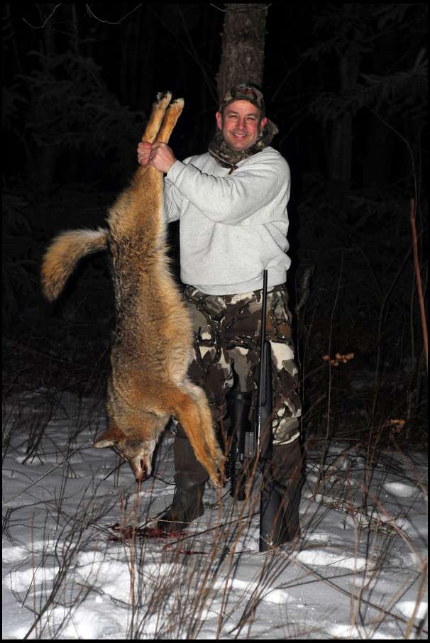 Here is my first, a big 45lb male killed at 3:15 AM.