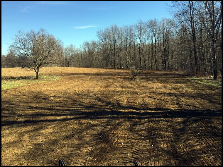 Here's the plot after liming, fertilizing (0-10-10), leveling and seeding. I used a Woods Precision Seeder to plant this 90/10 combination plot. 