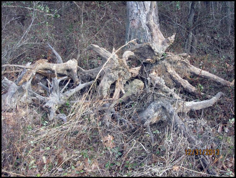 Pile midway on the easement.