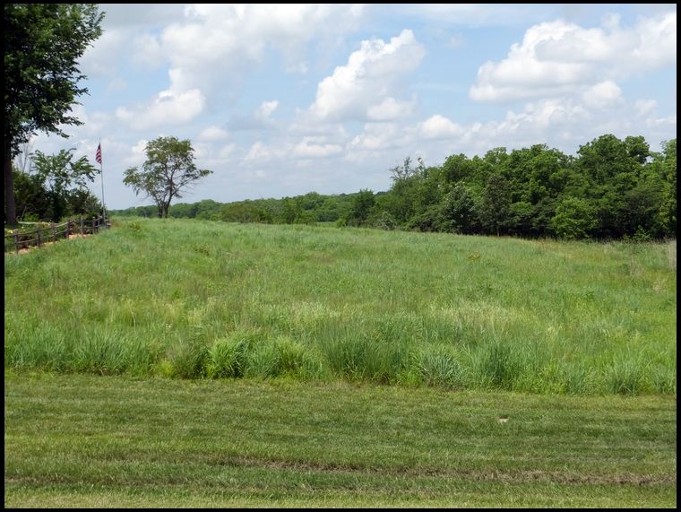 This is the southern half of the area where the EG is not visible.  This is the original NG I planted which is Big and Little Bluestem, Switch, Indian, Side Oats.