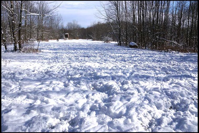 This snow is 24 hrs old. That's it. It looks like a minefield with the constant utilization of our turnips.