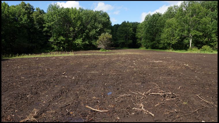 Plot 2 - going to be a radish plot