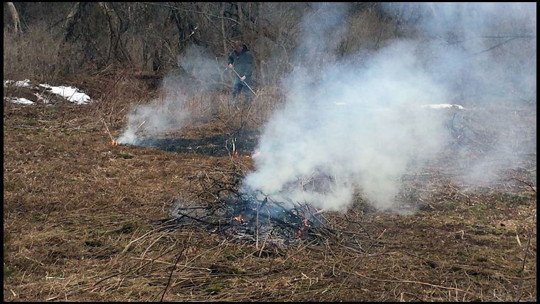 spring cleaning for new food plot!!