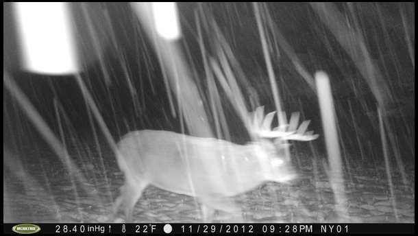 And some big boys too
