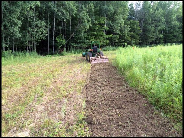 Tilling the field I brush hogged last week