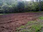 smith foodplot project