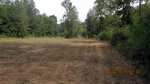 Crazy Horse foodplot project