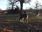 Parker foodplot project